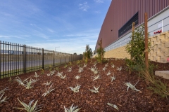 Warehouse - Eastern Creek - Prime Constructions for ISPT