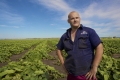 Lachlan Hauser - Grower, shot for AUSVEG