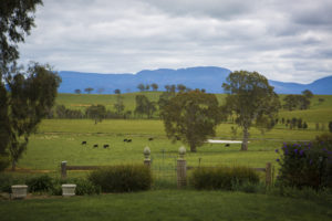 View of the Grampians from the verandah of the Lexington property, near Moysten