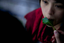 Still from "Mooncake and Crabb"