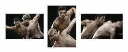 Matt & Daniel (triptych - Matt Mitcham & Daniel Garofali), 2009