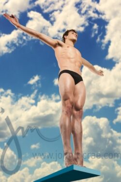 The Diver, 2010