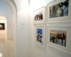 Rome.Inst3_RT8