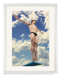 The Diver, 2010