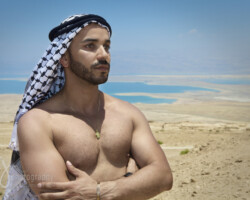 Adil, Israel 2014