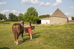 EricksFarm_27A1946