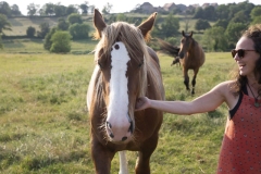 EricksFarm_27A1985