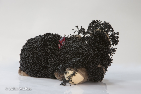 HoneyFungus-_27A2027-Edit