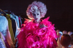 La Cage Aux Folles - State Theatre, Sydney - dress rehearsal